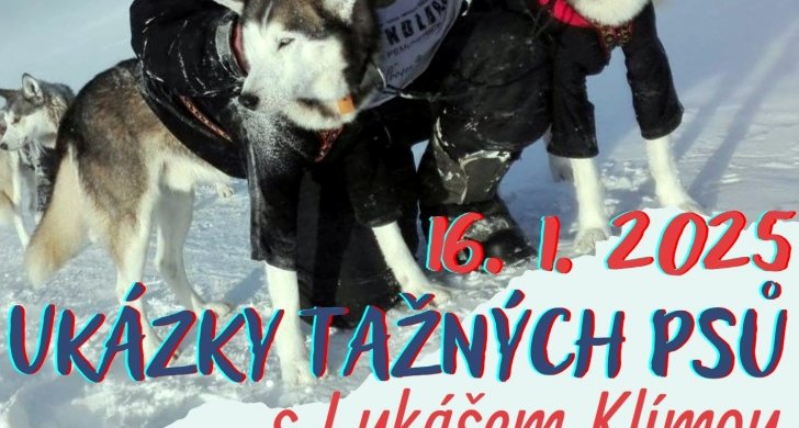 plakát na psy 1.jpg
